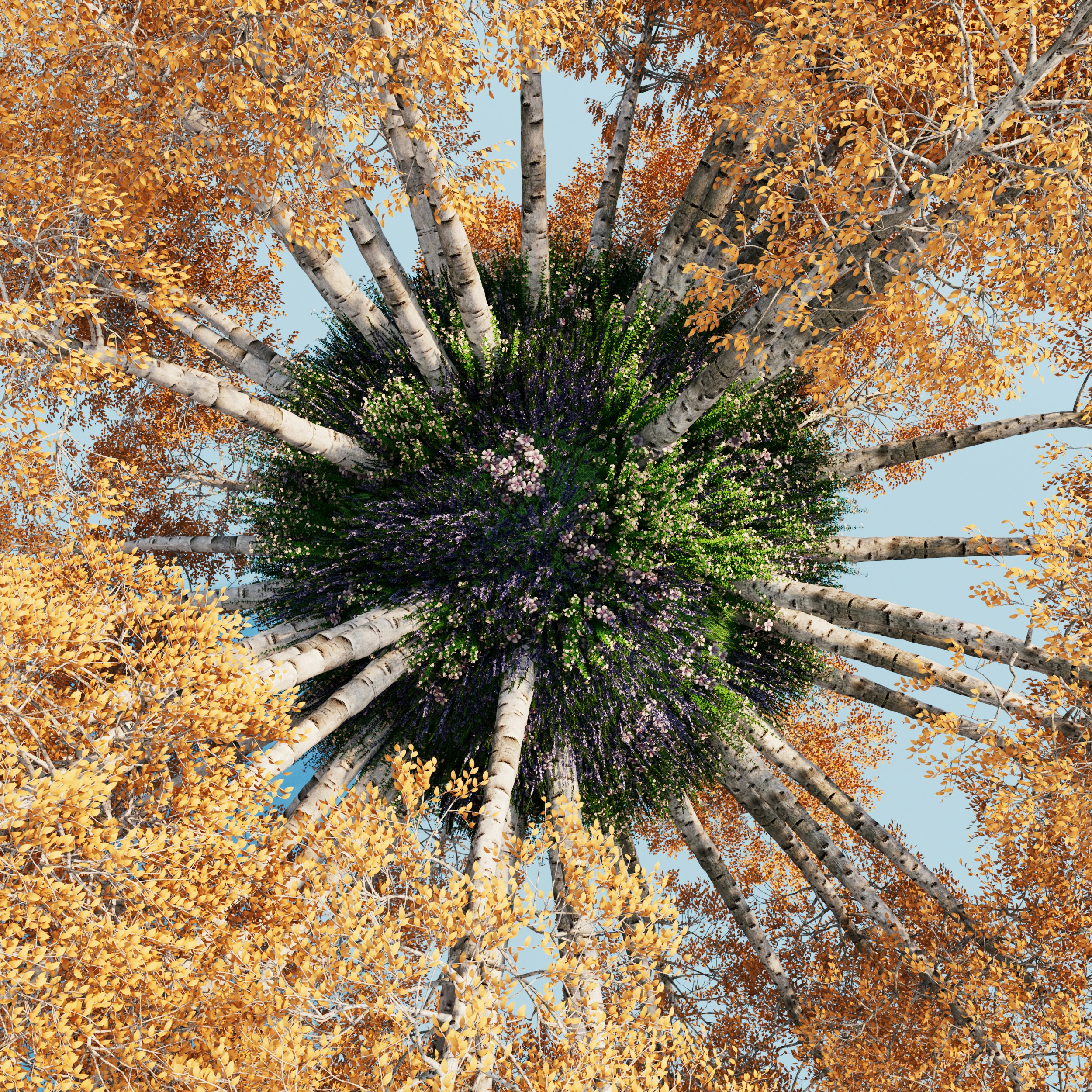 69fc6b48b7e2d59f3f8f63dcbfc98d38