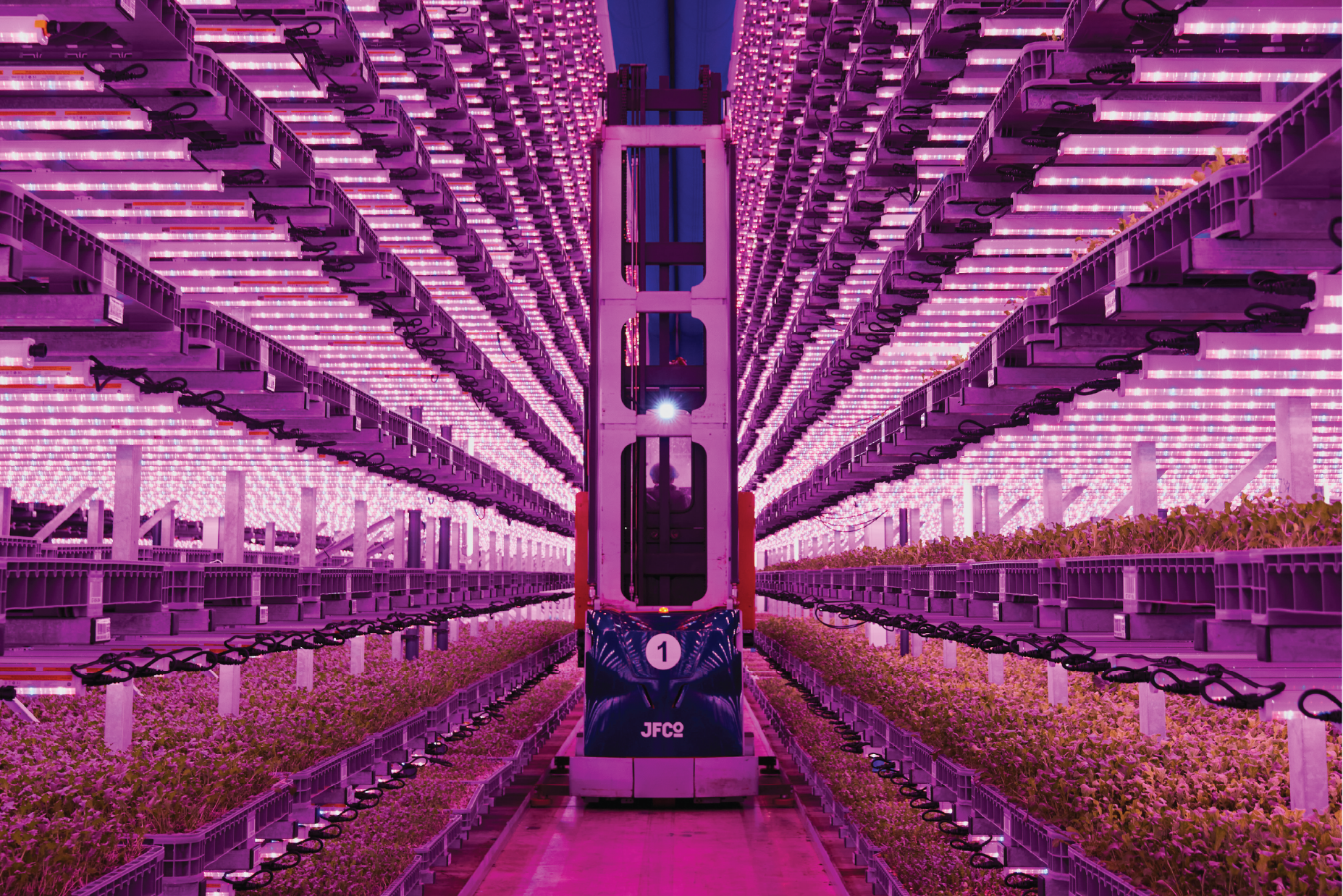 MBA - Vertical Farm Lydney - Projects 1